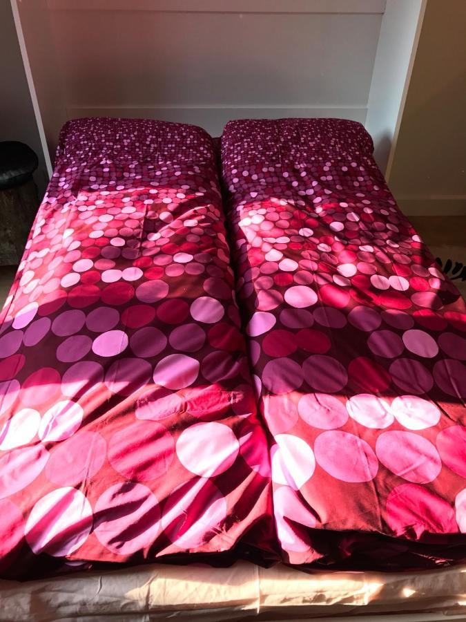 海牙Boutique Hide & Seek, Bed & Beach住宿加早餐旅馆 外观 照片